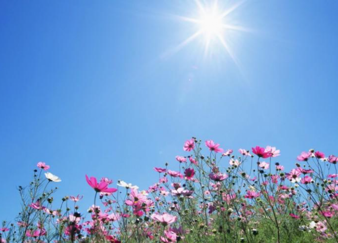 صحيفة عمون : ارتفاع ملموس ودرجات حرارة أعلى من معدلاتها الجمعة